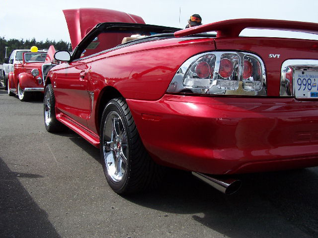 1998 Ford Mustang SVT Cobra Convertible rear