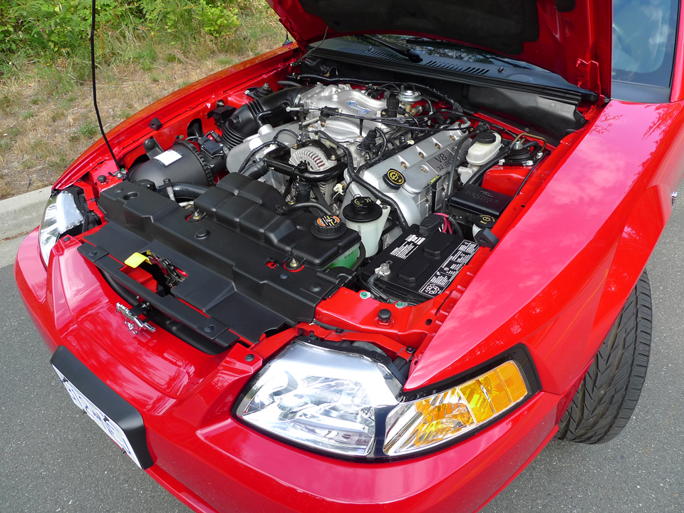 1999 Ford Mustang SVT Cobra Coupe, engine